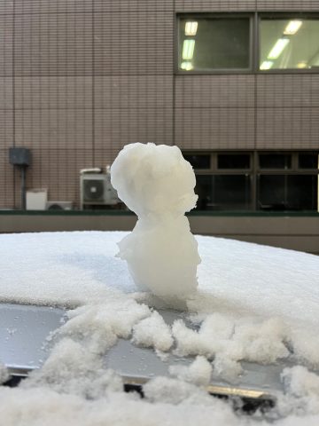 幕張本郷も雪降ってます☃