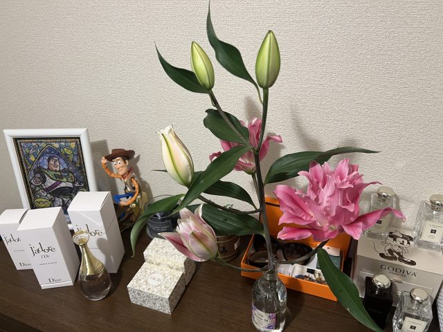 おひさしぶりの…笑