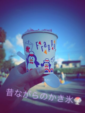 今年は最後かな？