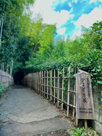 サムライの古径（こみち）「ひよどり坂」