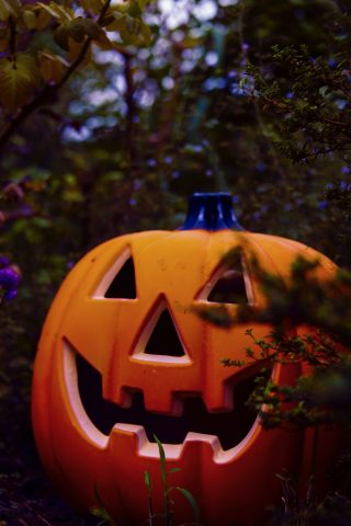 🎃Halloween is coming soon 2024！！🎃